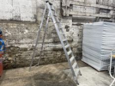 Youngman's EN131 11 Tread Aluminium Step Ladder