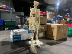 Freestanding Table Top Human Skeleton Model. Please Note: Auction Location - Bay Studios, Fabian