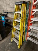 Werner 6' Fiberglass Step Ladder