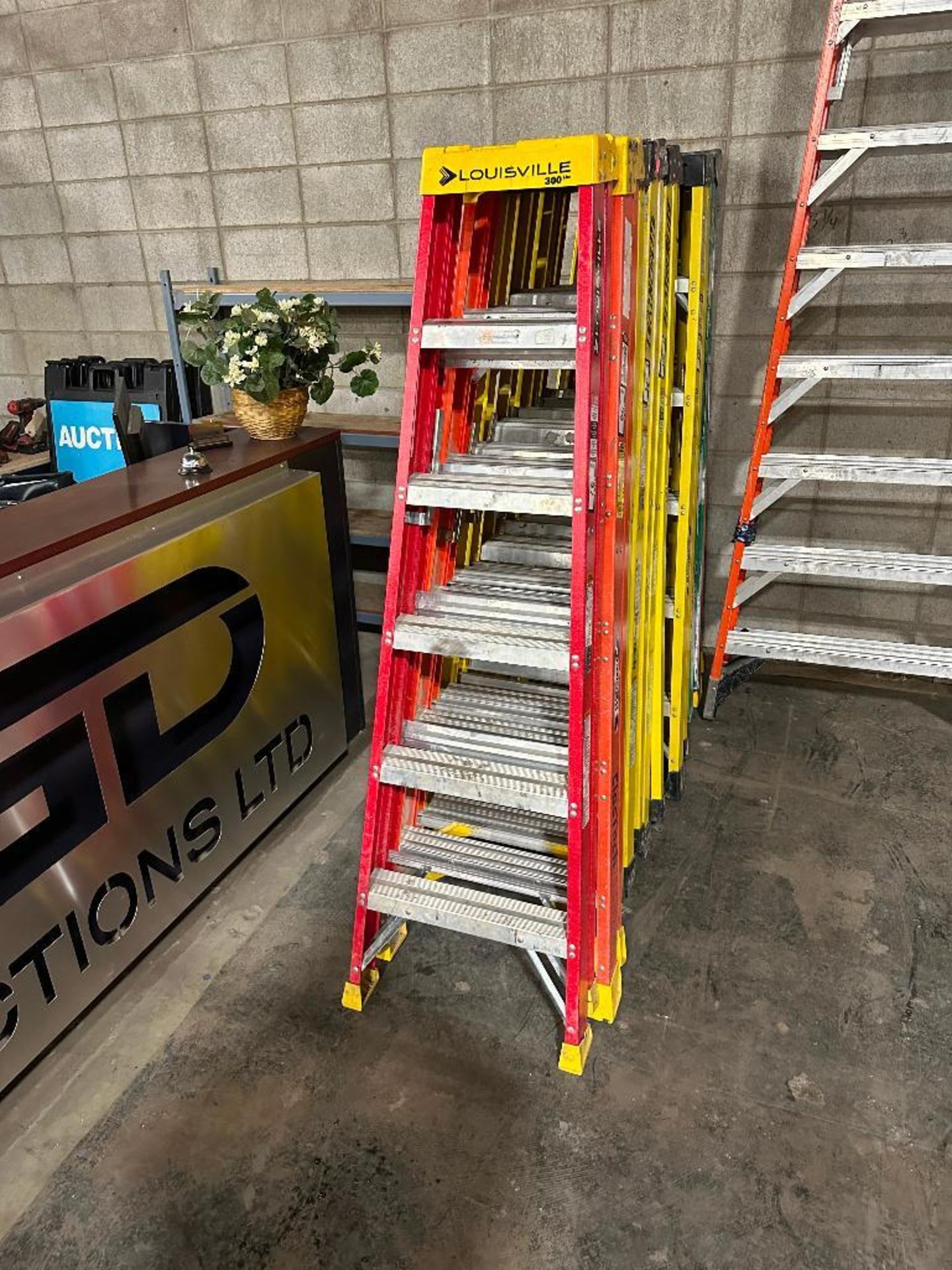 Louisville 6' Fiberglass Step Ladder - Image 3 of 4