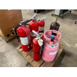 Pallet of (5) Asst. Fire Extinguishers, etc.