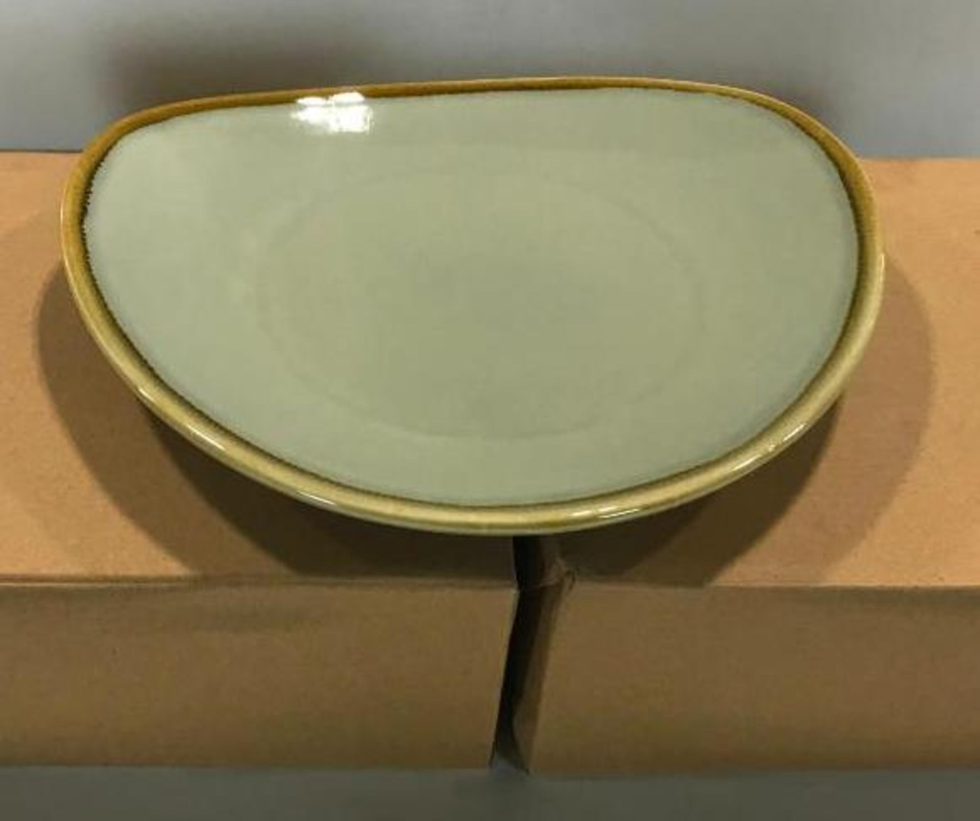 2 CASES OF TERRASTONE 11" SAGE GREEN PLATE - 12/CASE, ARCOROC - NEW