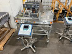 Domino Printer with Conveyor and Controls