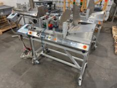 Domino Printer with Conveyor and Controls