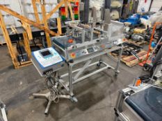 Domino Printer with Conveyor and Controls