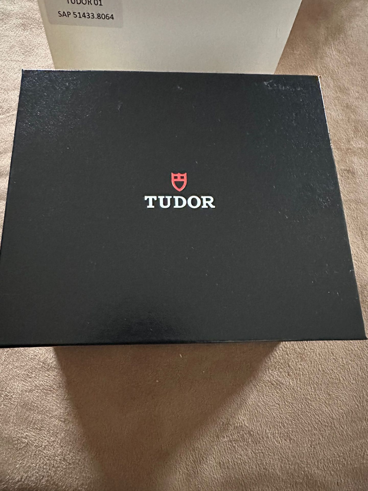 TUDOR PELAGOS - Image 10 of 11