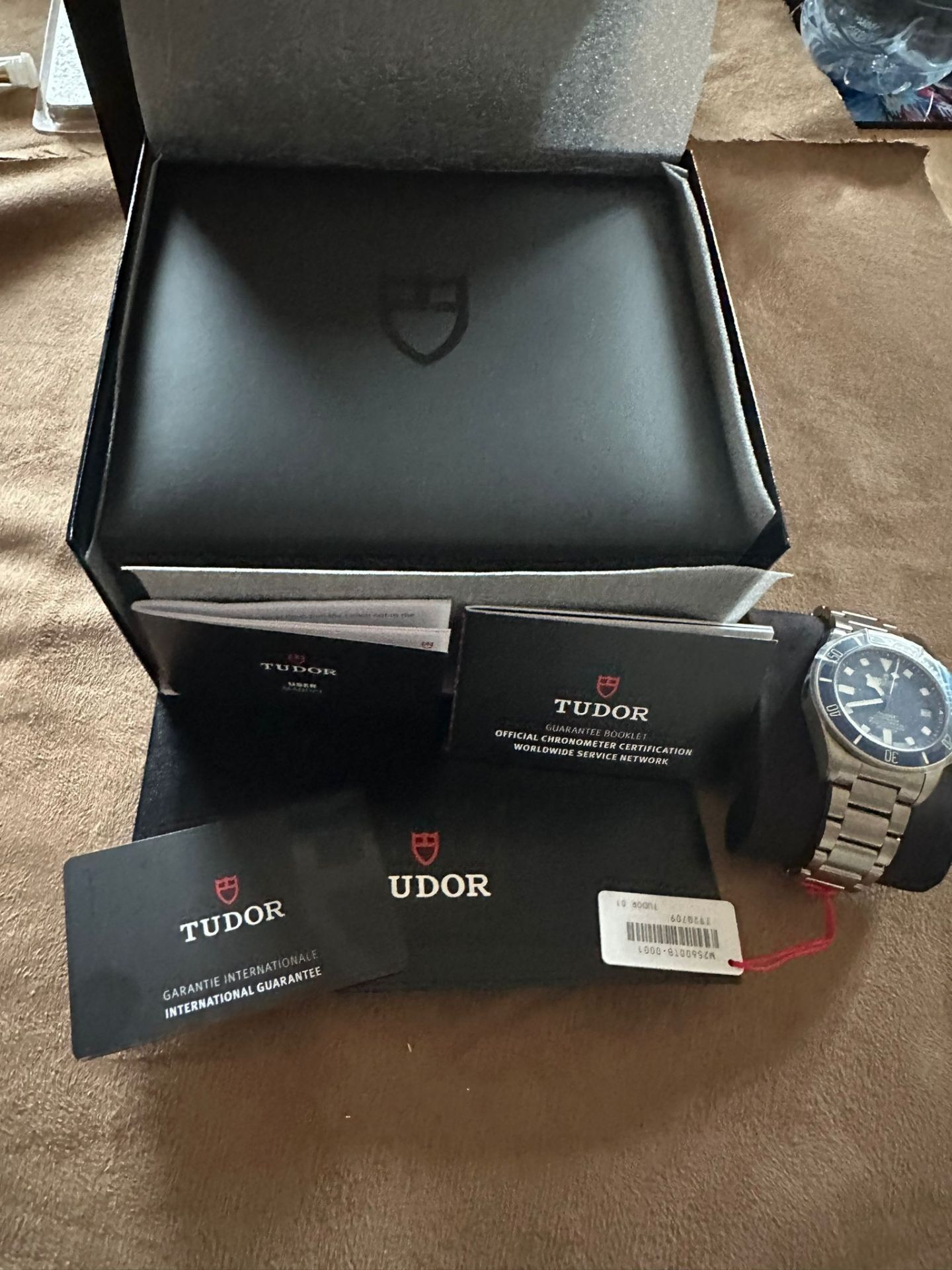 TUDOR PELAGOS - Image 4 of 11