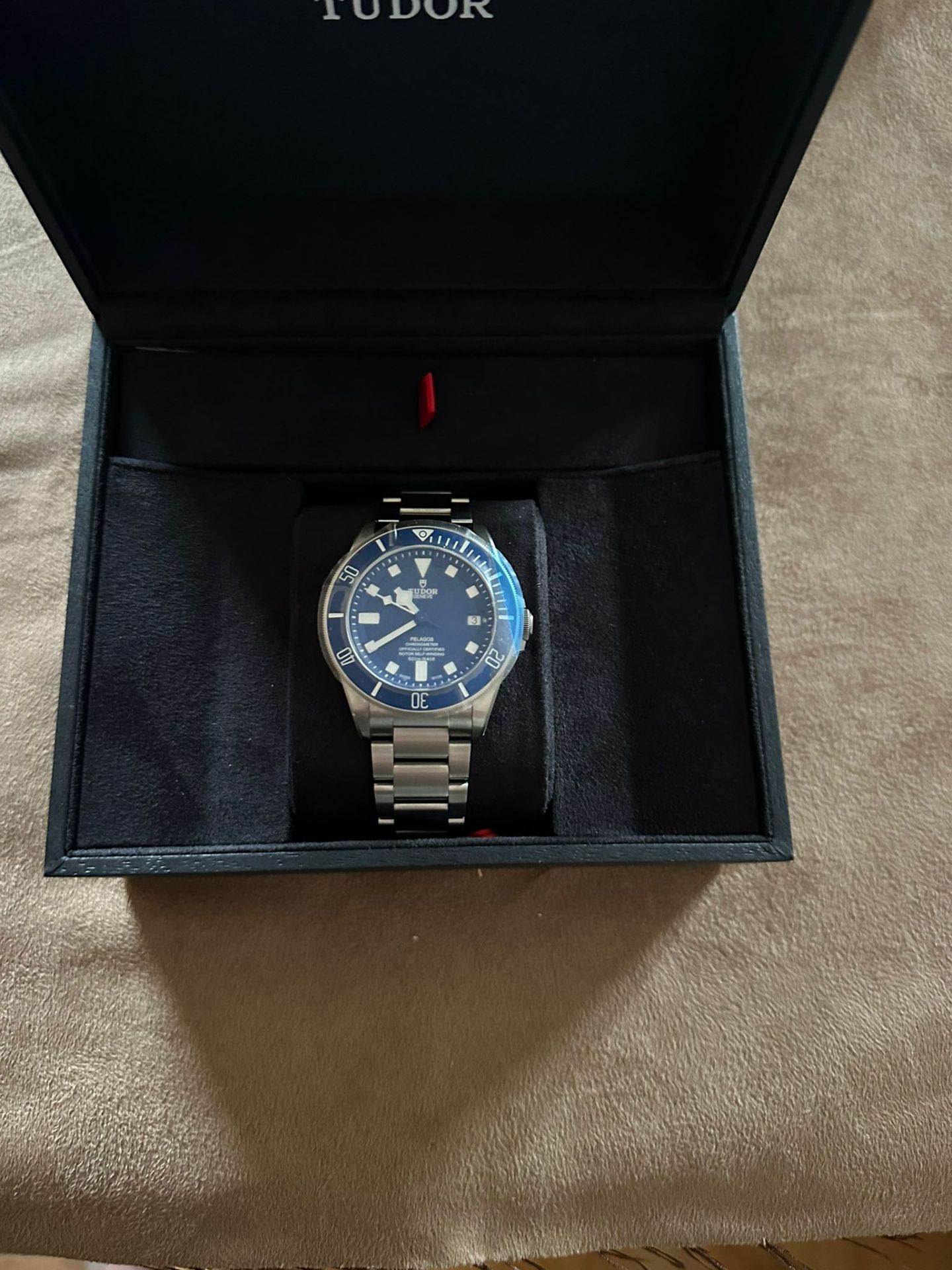 TUDOR PELAGOS