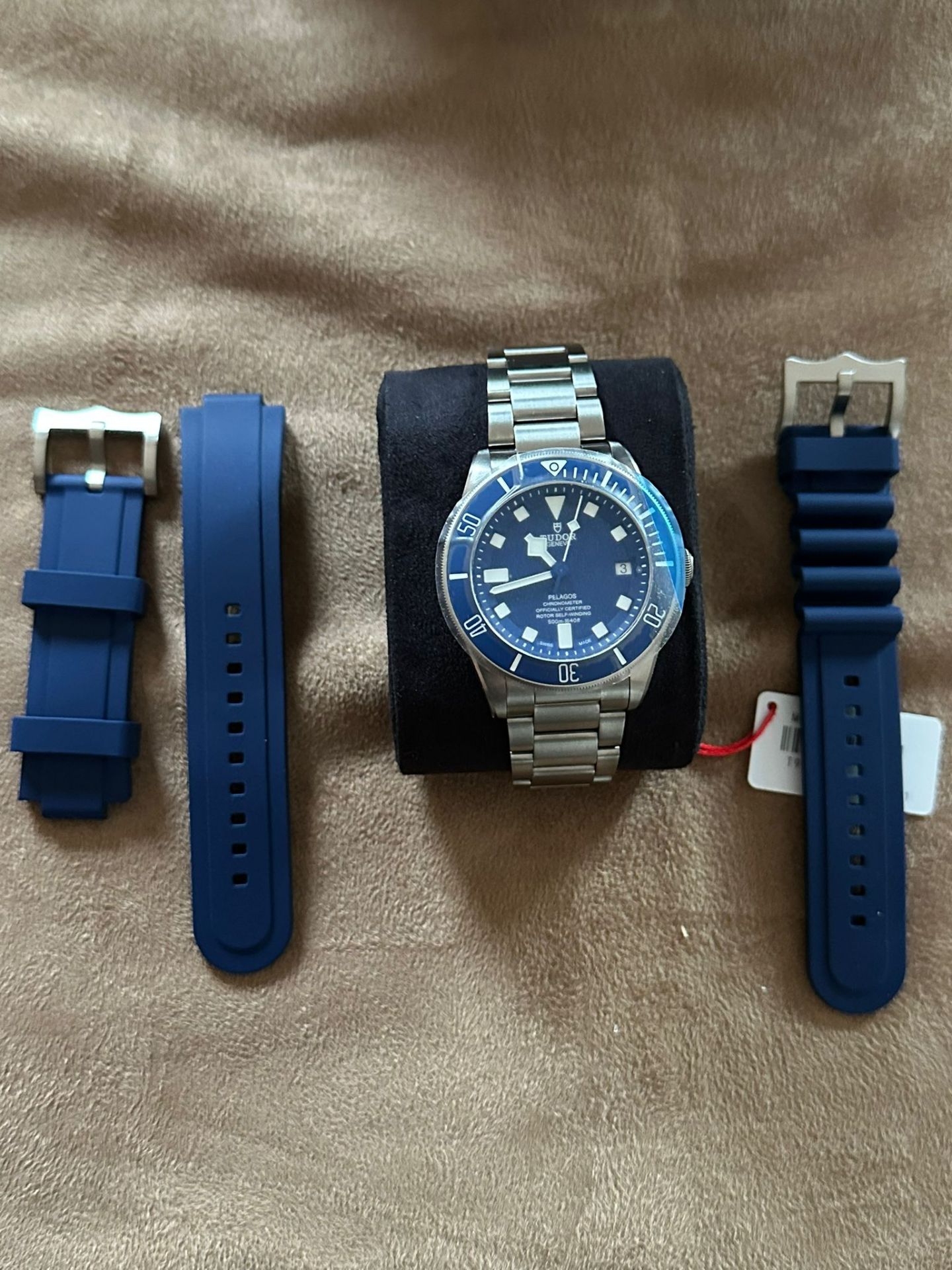 TUDOR PELAGOS - Image 5 of 11