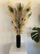 RRP £300 - Approx. 30 X Brand New Peacock Feather Pampas Grass