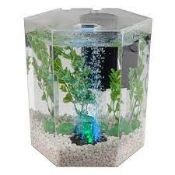 RRP £940 Pallet To Contain Hexagon Glass Fish Tank