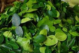 *RRP £150 X50 Bags Old India Lime Leaves Air Dried 25G Bb 11/23