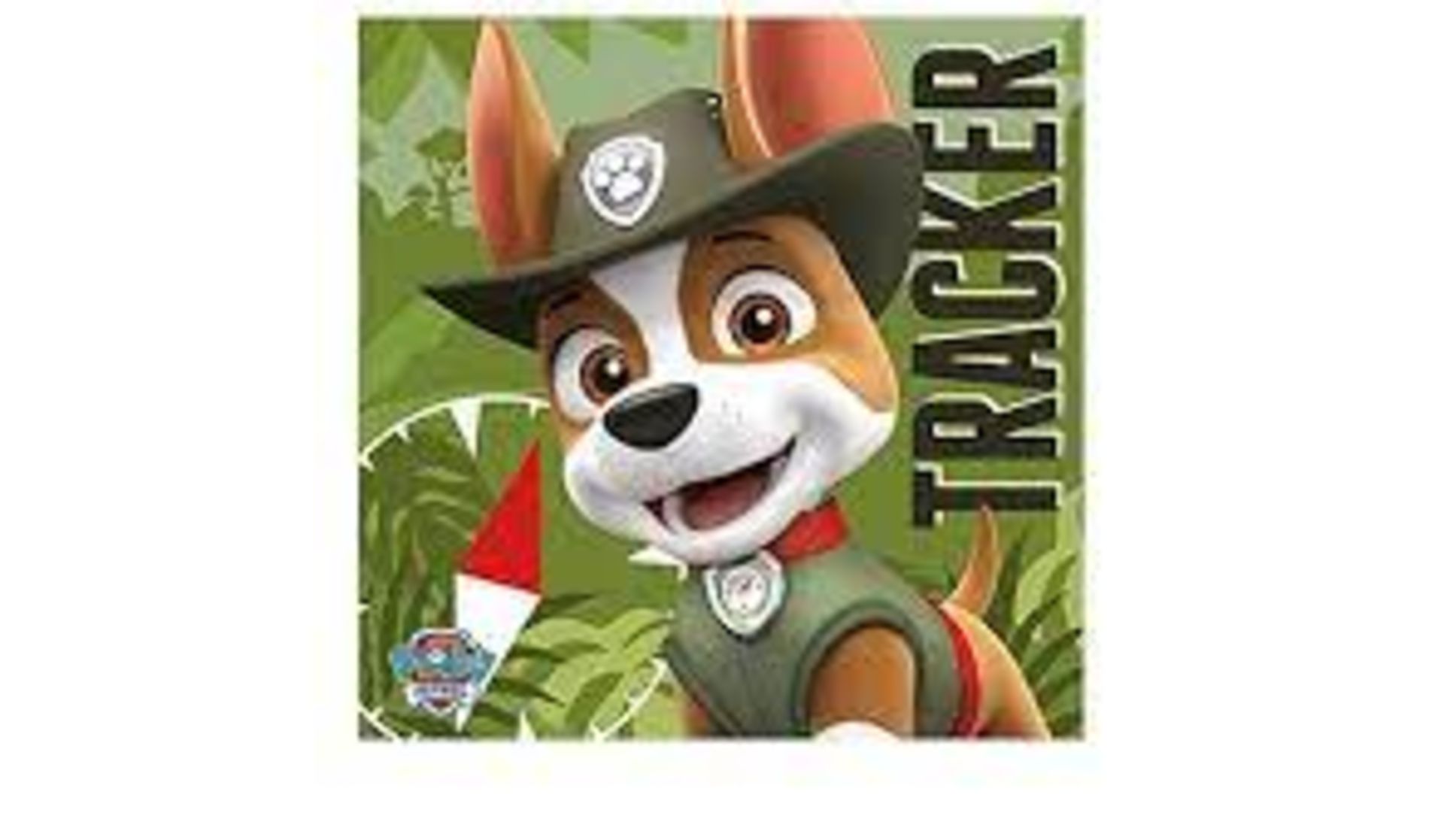 RRP £150 Brand New X5 Paw Patrol Medium Canvas - Tracker