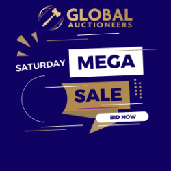 TIMED - Saturday Mega Auction!!! 17th February 2024