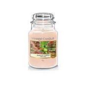 RRP £80 Brand New Yankee Candles X4 Tranquil Garden 623G