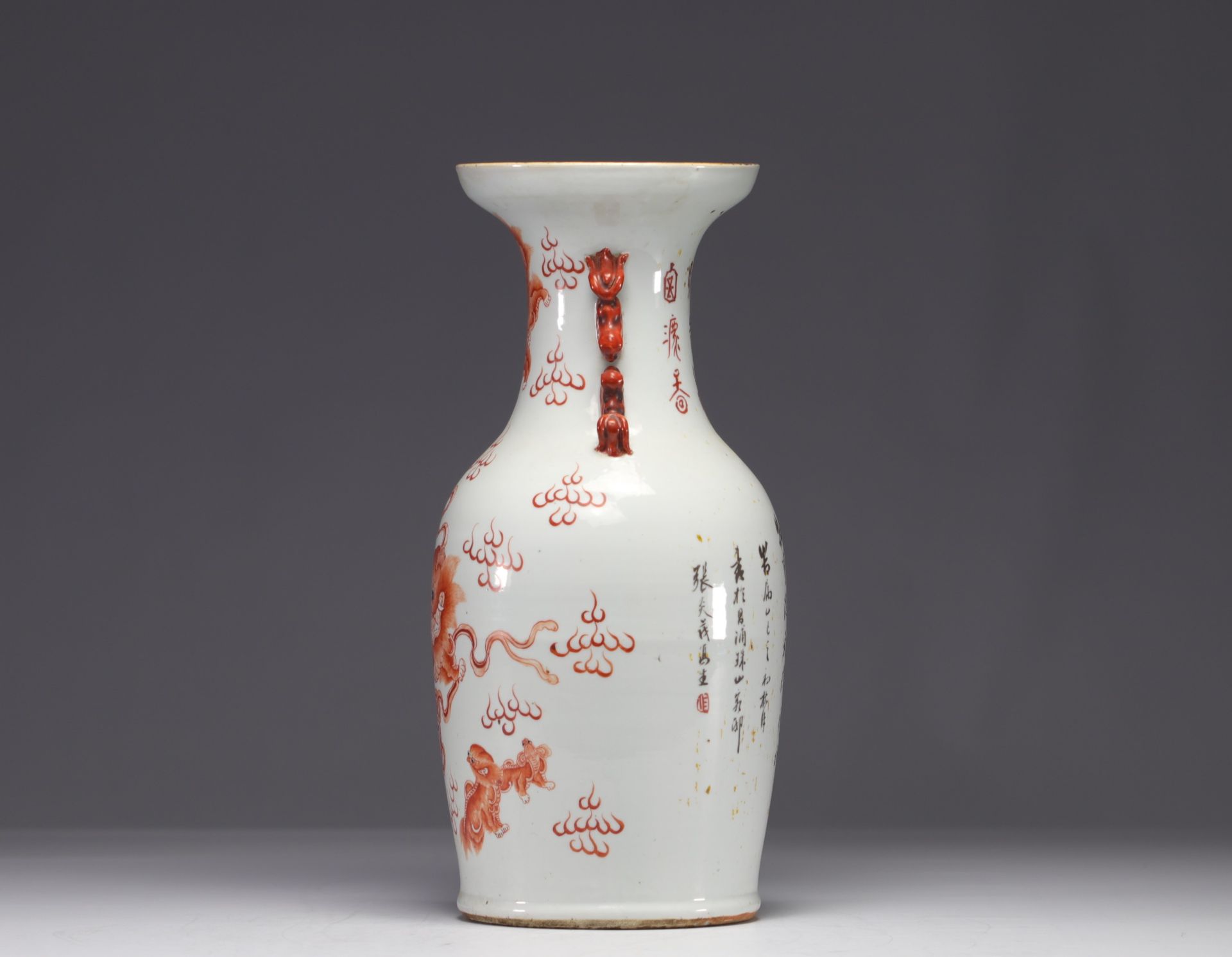 China - Porcelain vase decorated with iron-red Lions, 19th century. - Bild 3 aus 6