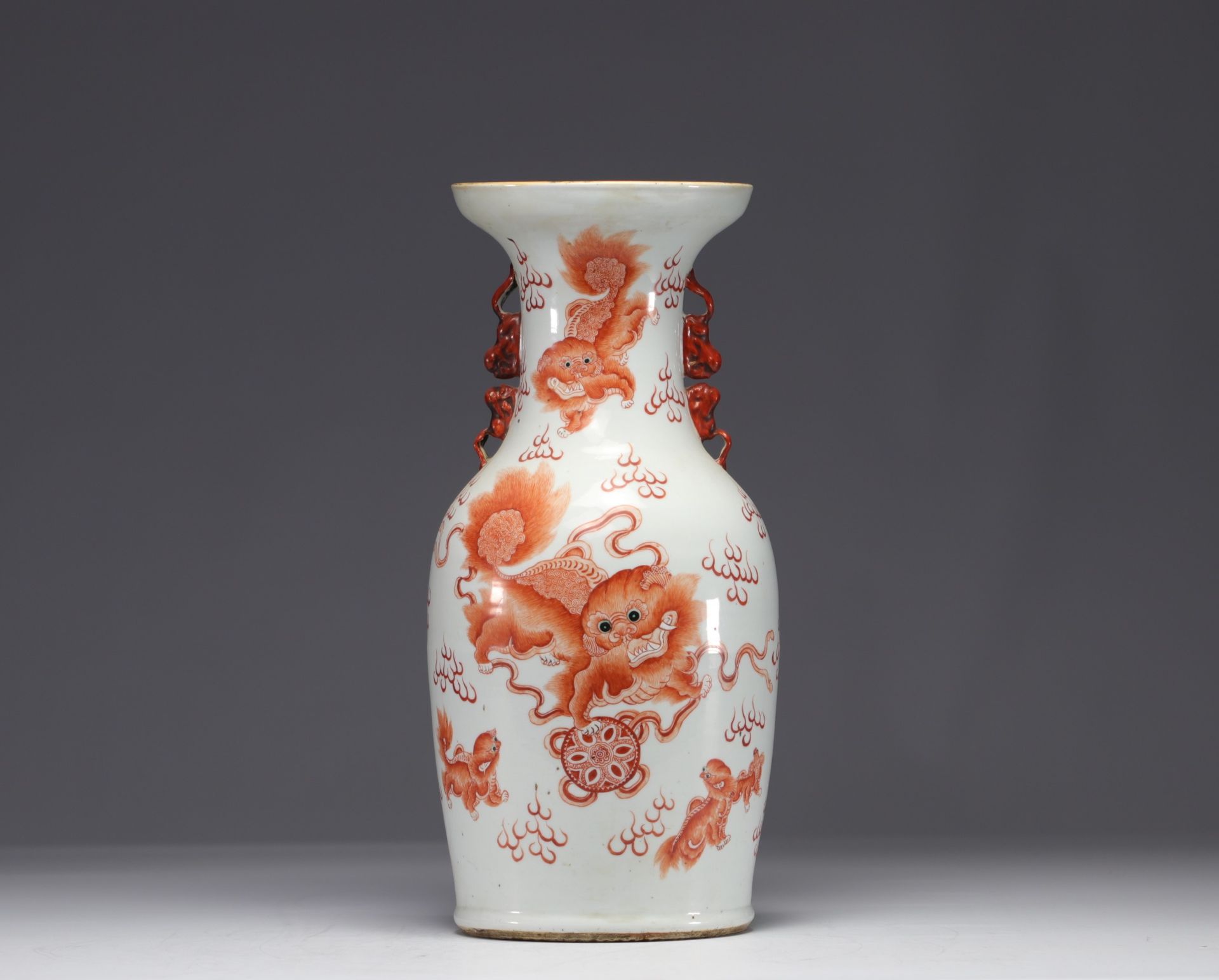 China - Porcelain vase decorated with iron-red Lions, 19th century.