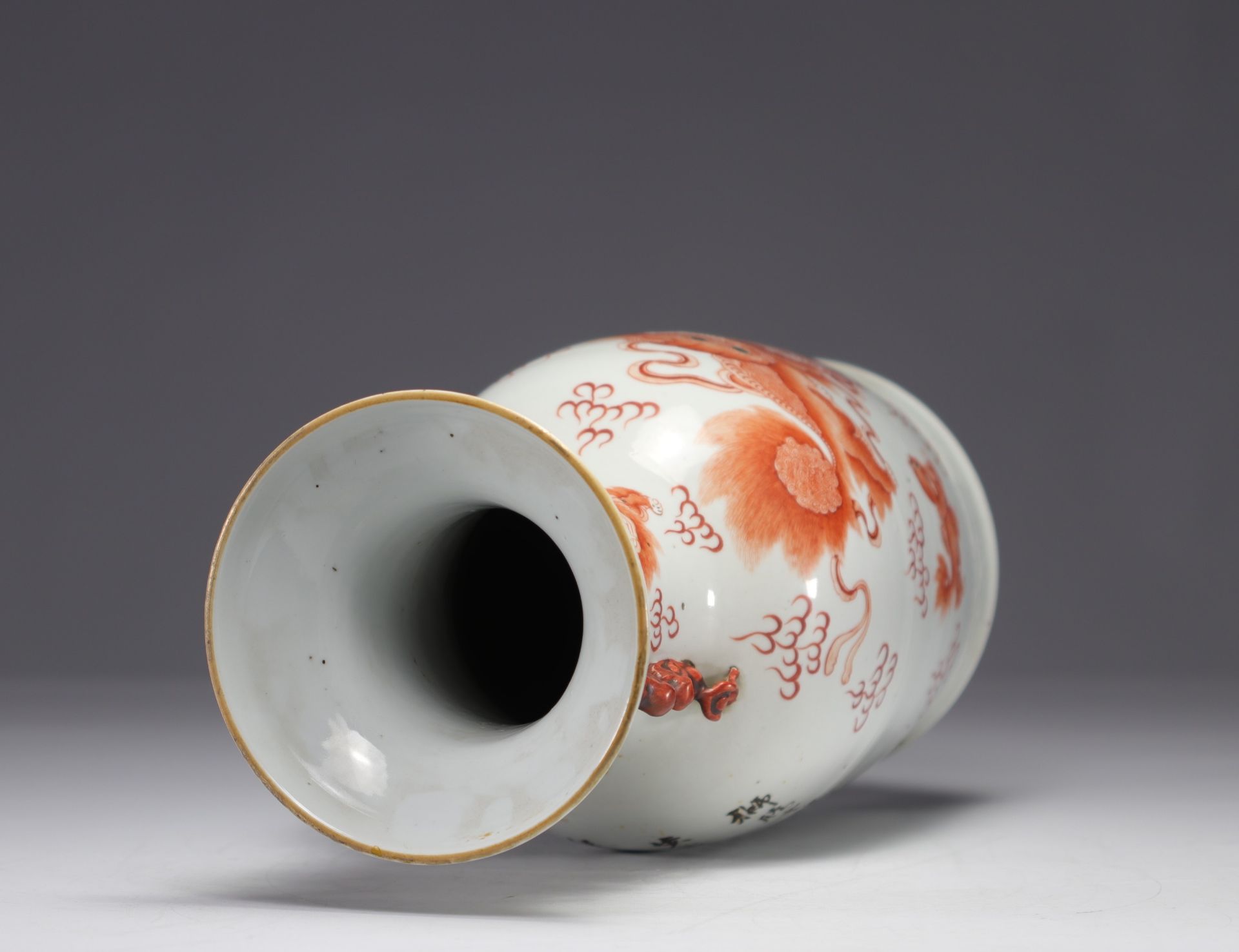 China - Porcelain vase decorated with iron-red Lions, 19th century. - Bild 5 aus 6
