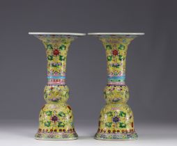 China - Pair of porcelain vases on a yellow background with floral decoration, Qing period.