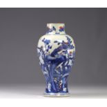 Chinese porcelain vase with blue bird design, Qing period