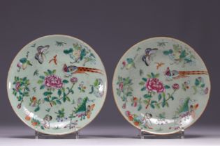 China - pair of Canton porcelain plates decorated with flowers, birds and butterflies.