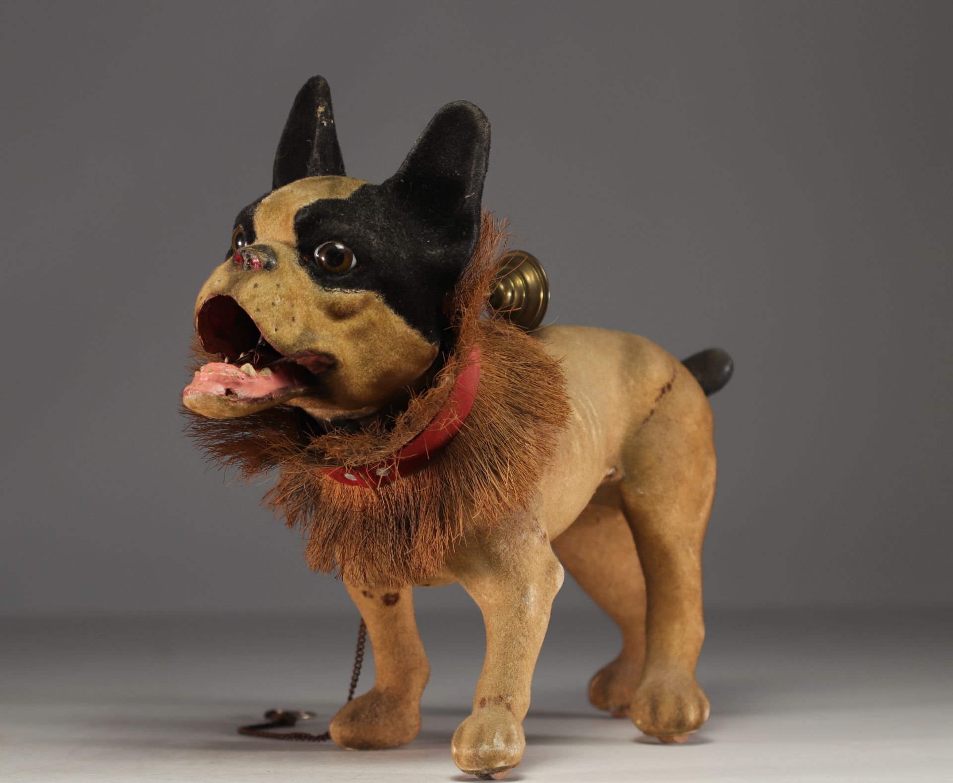 French bulldog toy in papier-mache on wheel, circa 1930. - Image 4 of 6