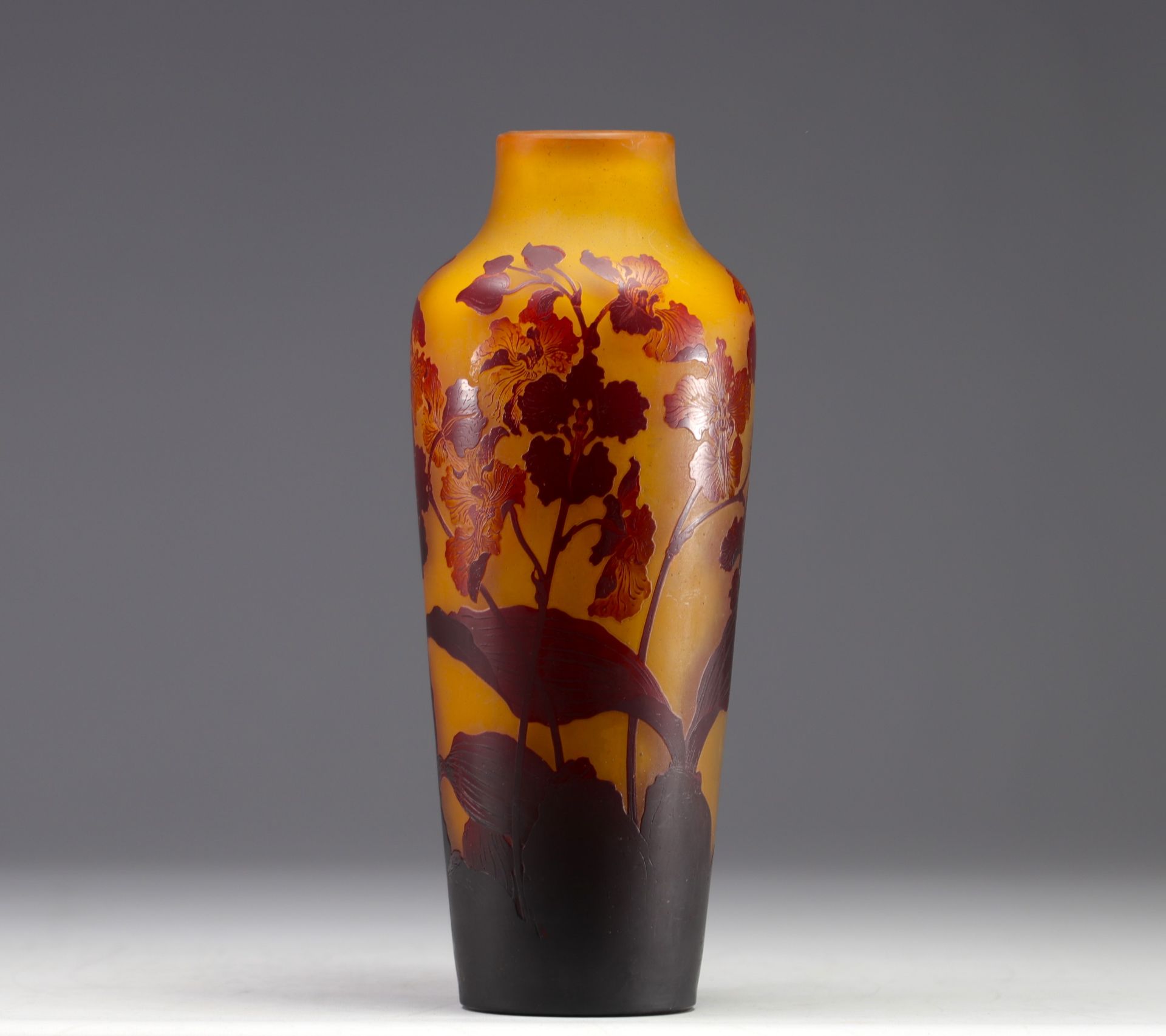 Emile GALLE - Multi-layered glass vase with iris design, signed.
