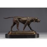 "English Pointer" bronze hunting dog.