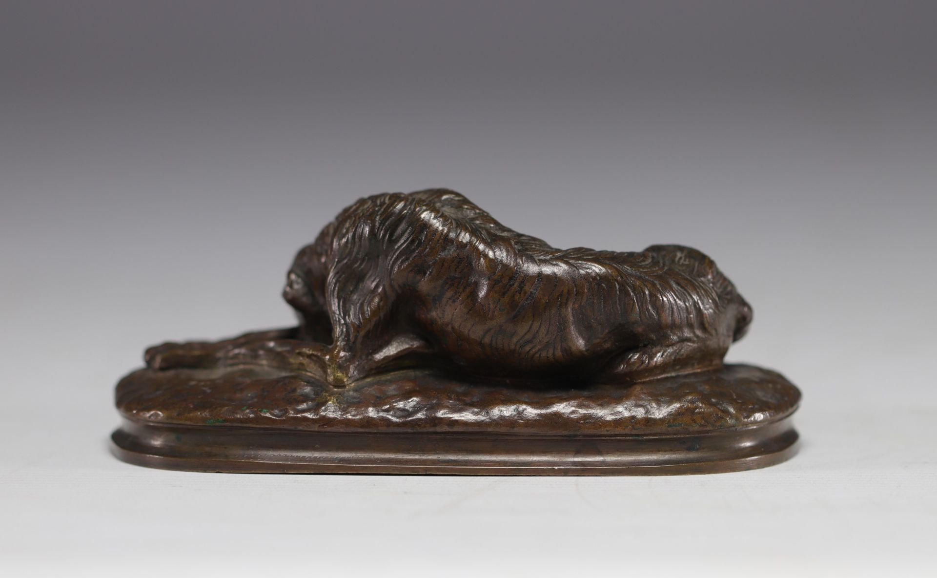 Paul GAYRARD (1807-1855) "Sleeping Afghan greyhound" Bronze sculpture. - Image 3 of 4