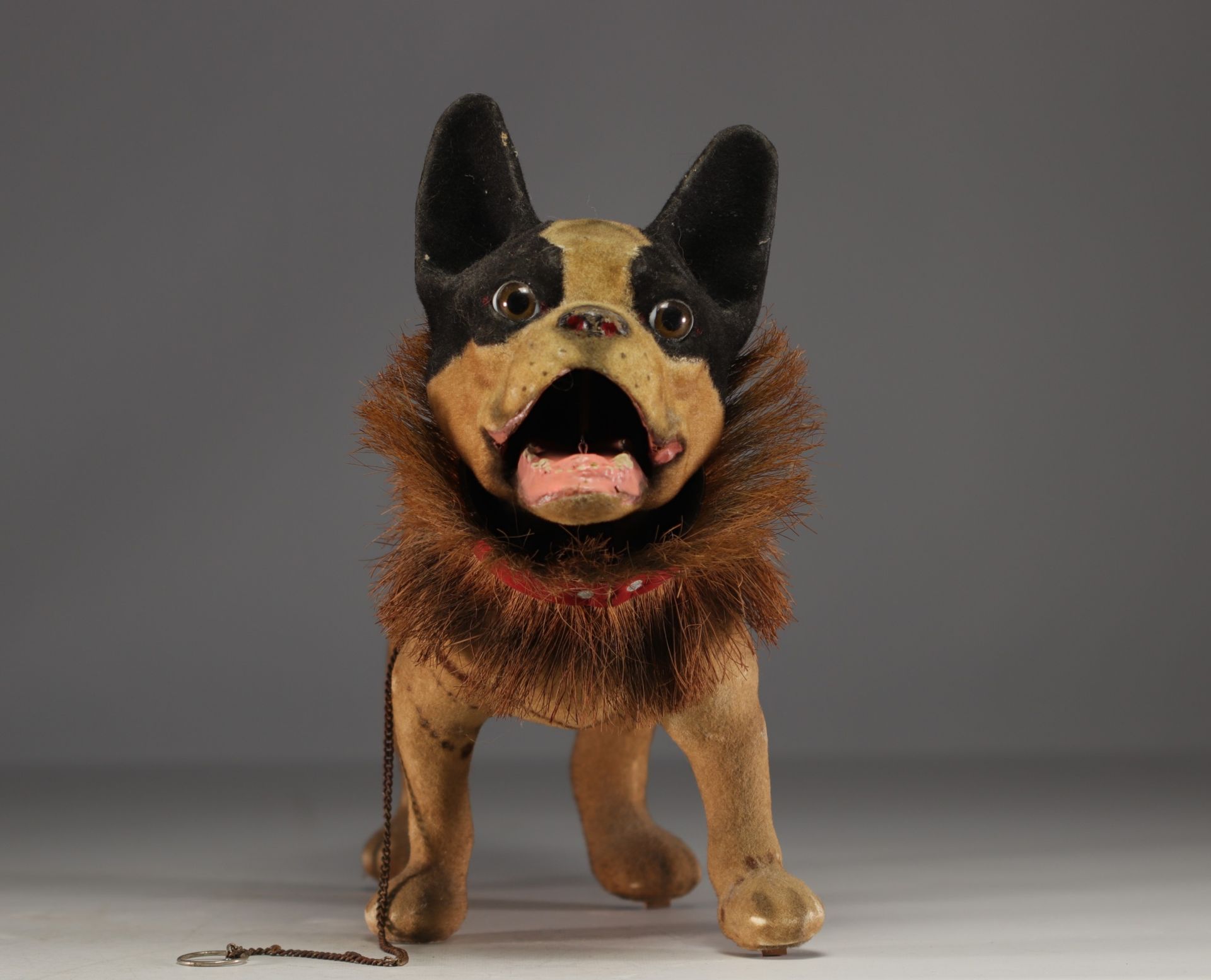 French bulldog toy in papier-mache on wheel, circa 1930. - Image 3 of 6