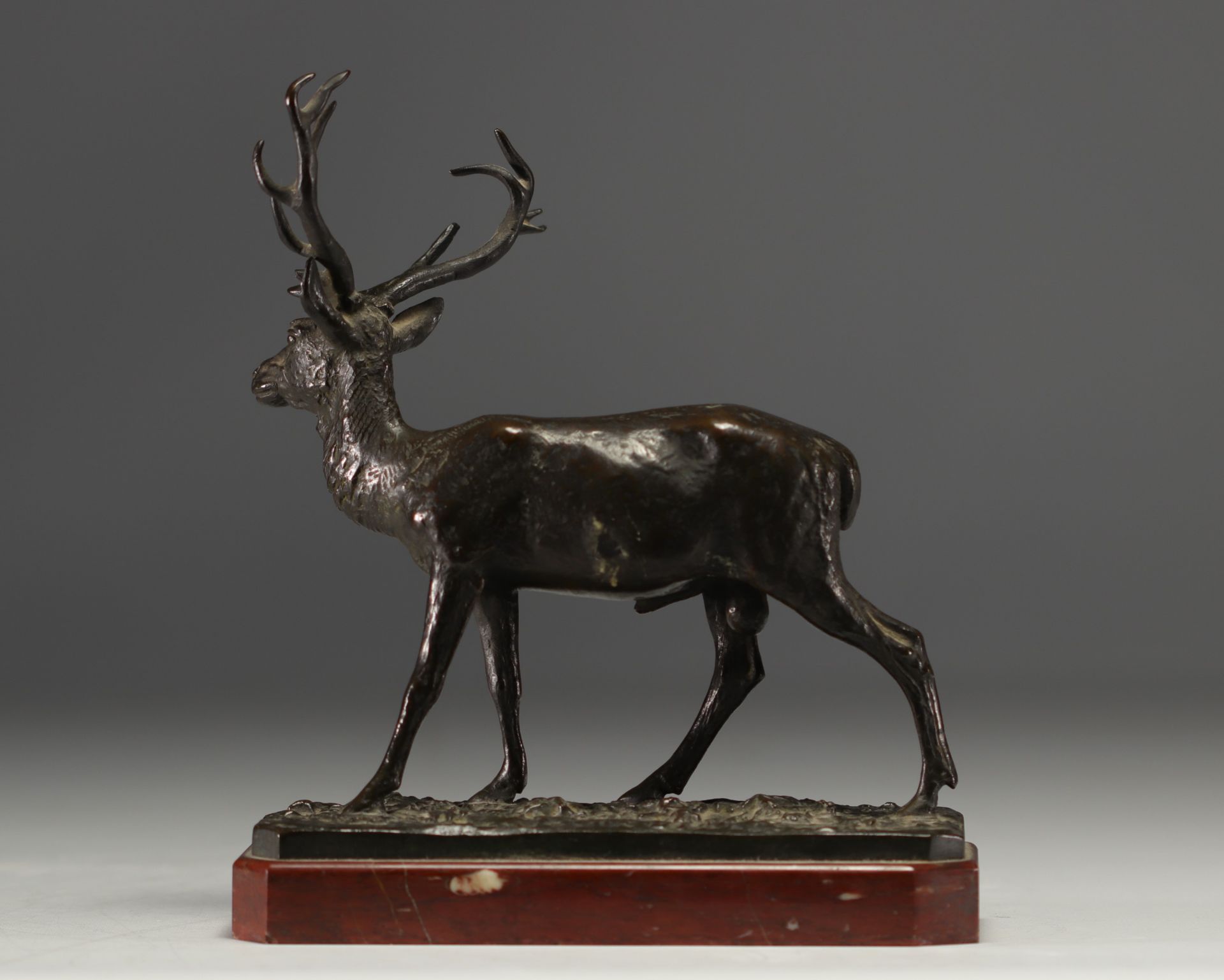 Christophe FRATIN (1801-1864) "Stag" Small bronze sculpture on a red marble base. - Bild 2 aus 3