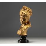 Bust of a young girl in bronze with gilded patina, published by the "Compagnie des Bronzes Bruxelles