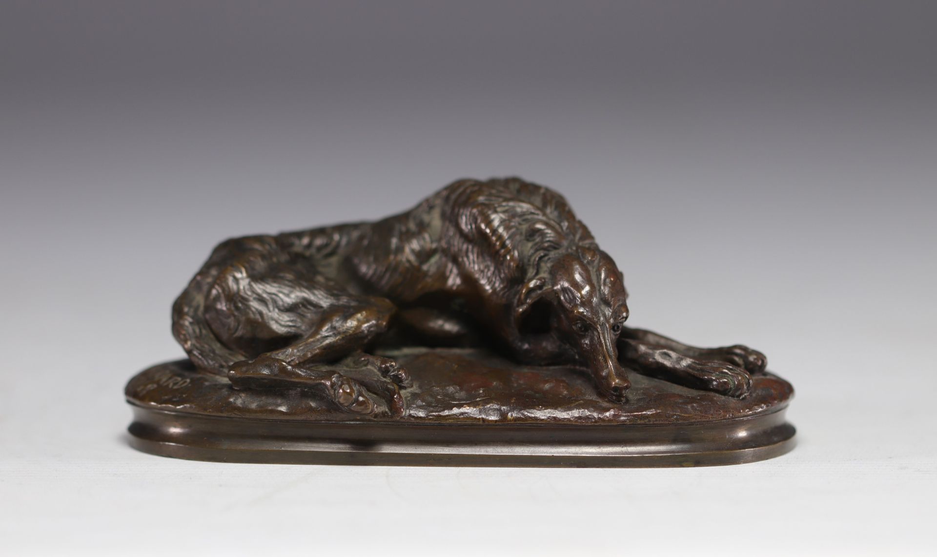 Paul GAYRARD (1807-1855) "Sleeping Afghan greyhound" Bronze sculpture.