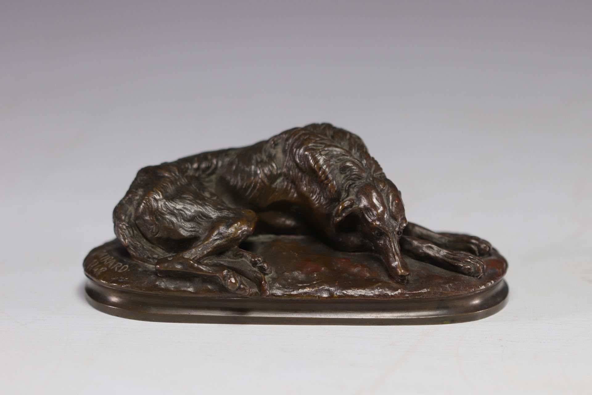 Paul GAYRARD (1807-1855) "Sleeping Afghan greyhound" Bronze sculpture. - Image 4 of 4