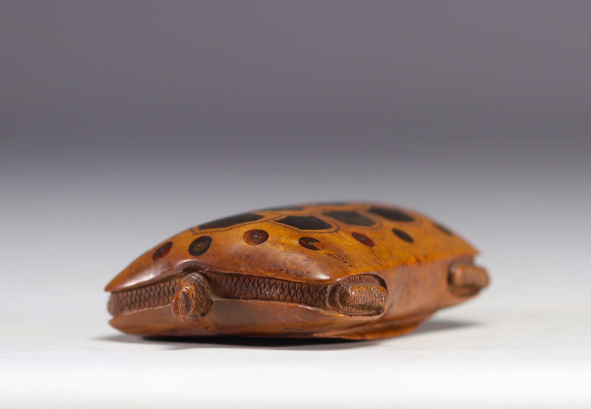 Rare snuff box in the shape of a turtle carved with inlays and nails, 19th century - Image 5 of 8