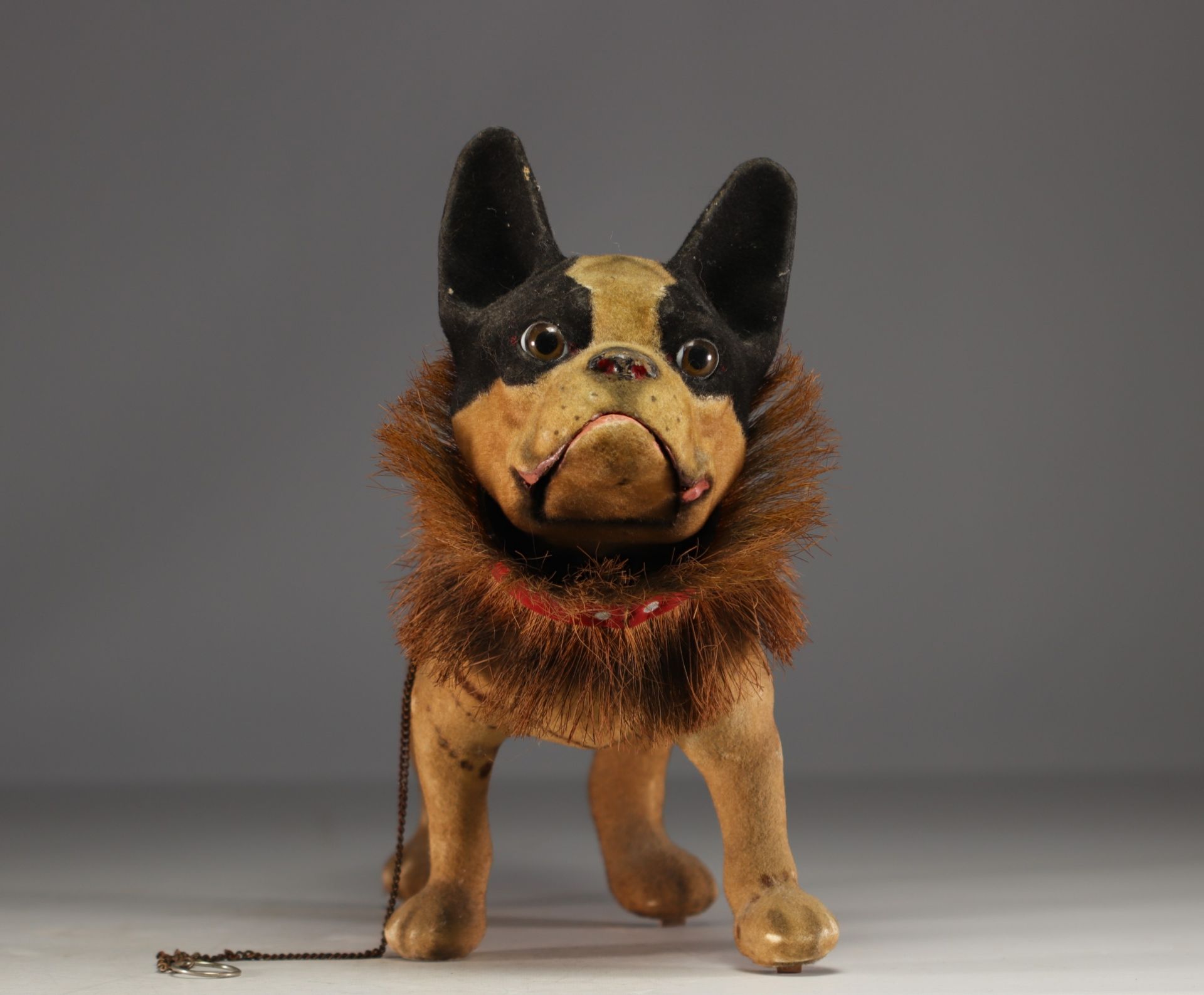 French bulldog toy in papier-mache on wheel, circa 1930. - Image 2 of 6