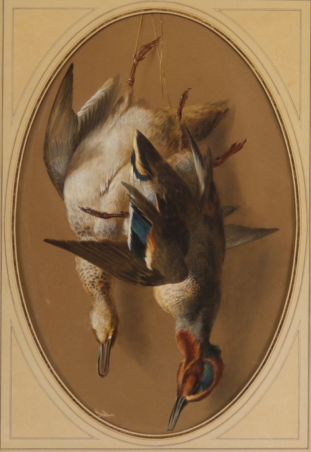 W. DENTER "Ducks" Hunting trophy, watercolour and pastel, late 19th century.