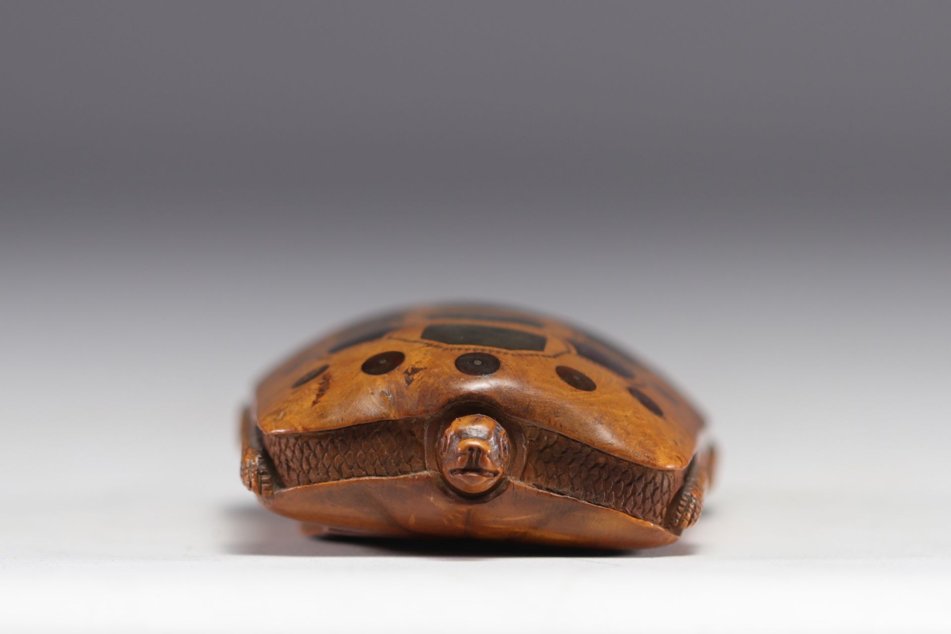 Rare snuff box in the shape of a turtle carved with inlays and nails, 19th century - Image 4 of 8