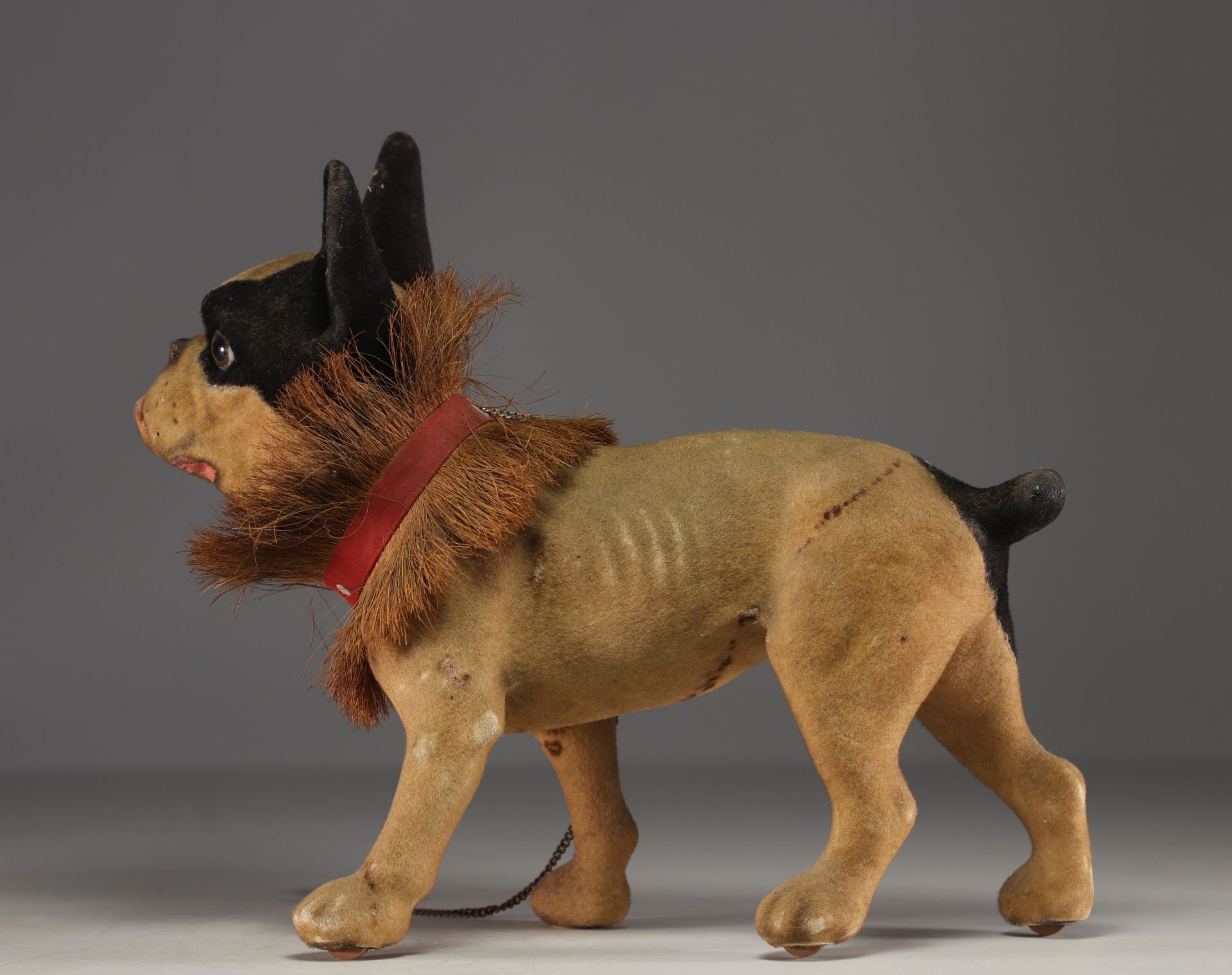 French bulldog toy in papier-mache on wheel, circa 1930. - Image 6 of 6