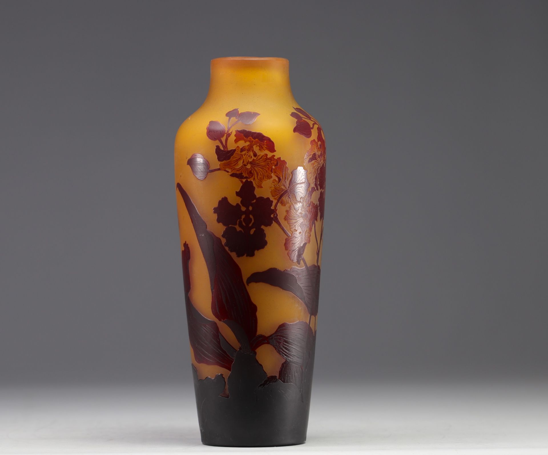 Emile GALLE - Multi-layered glass vase with iris design, signed. - Image 3 of 5