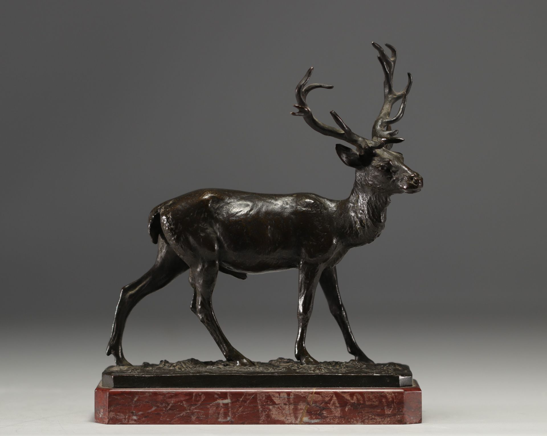 Christophe FRATIN (1801-1864) "Stag" Small bronze sculpture on a red marble base.
