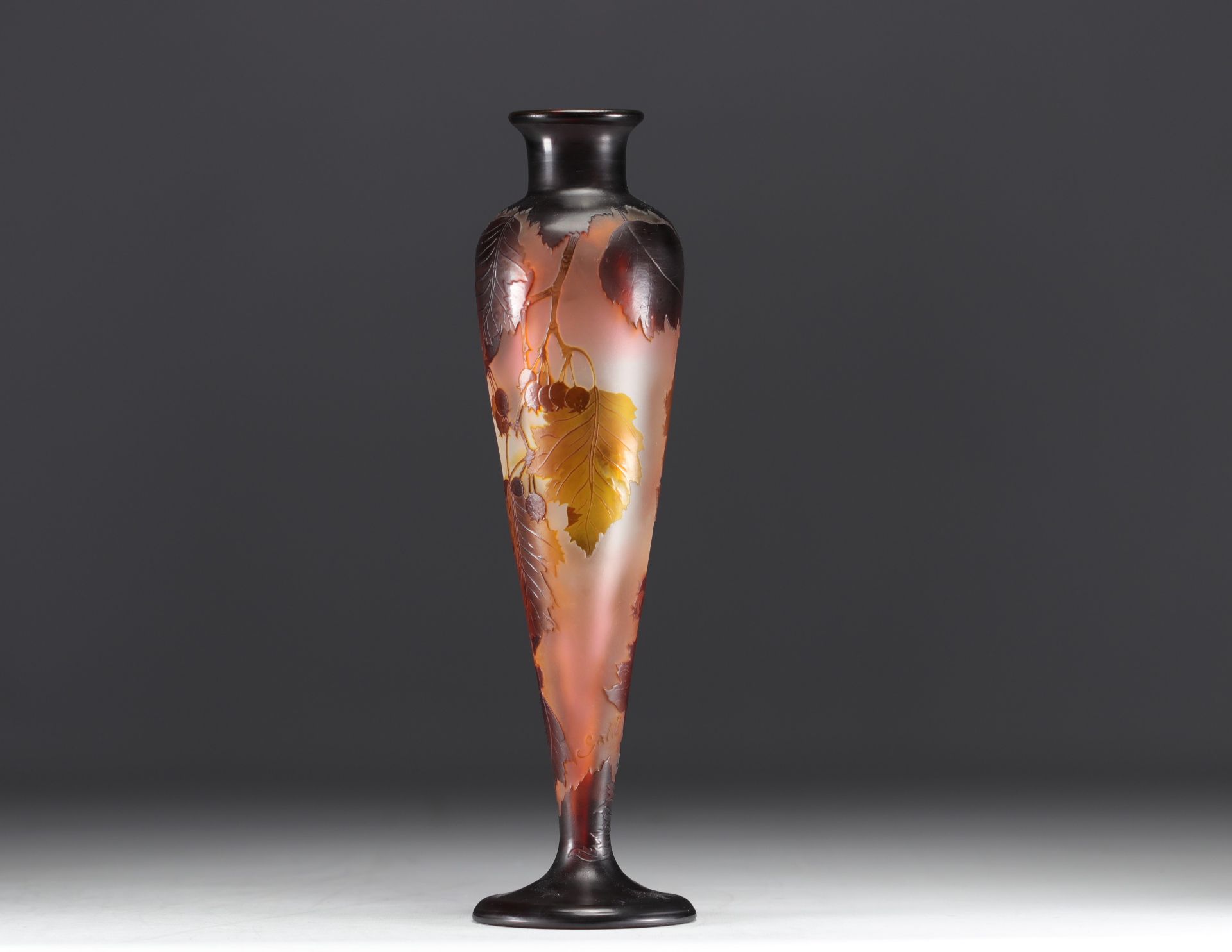 Emile GALLE - Multilayered Glass Vase with berries. - Image 3 of 5