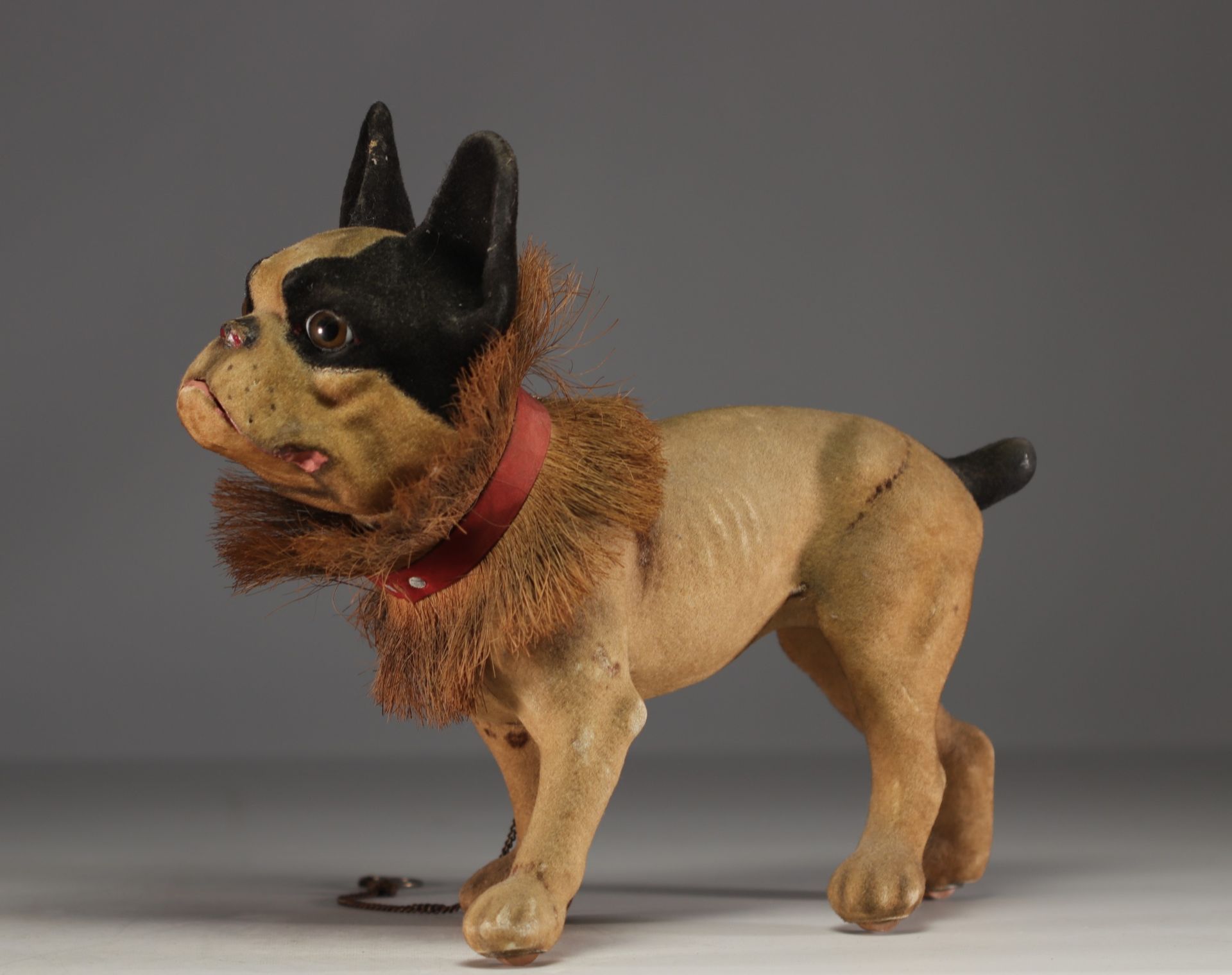 French bulldog toy in papier-mache on wheel, circa 1930. - Image 5 of 6