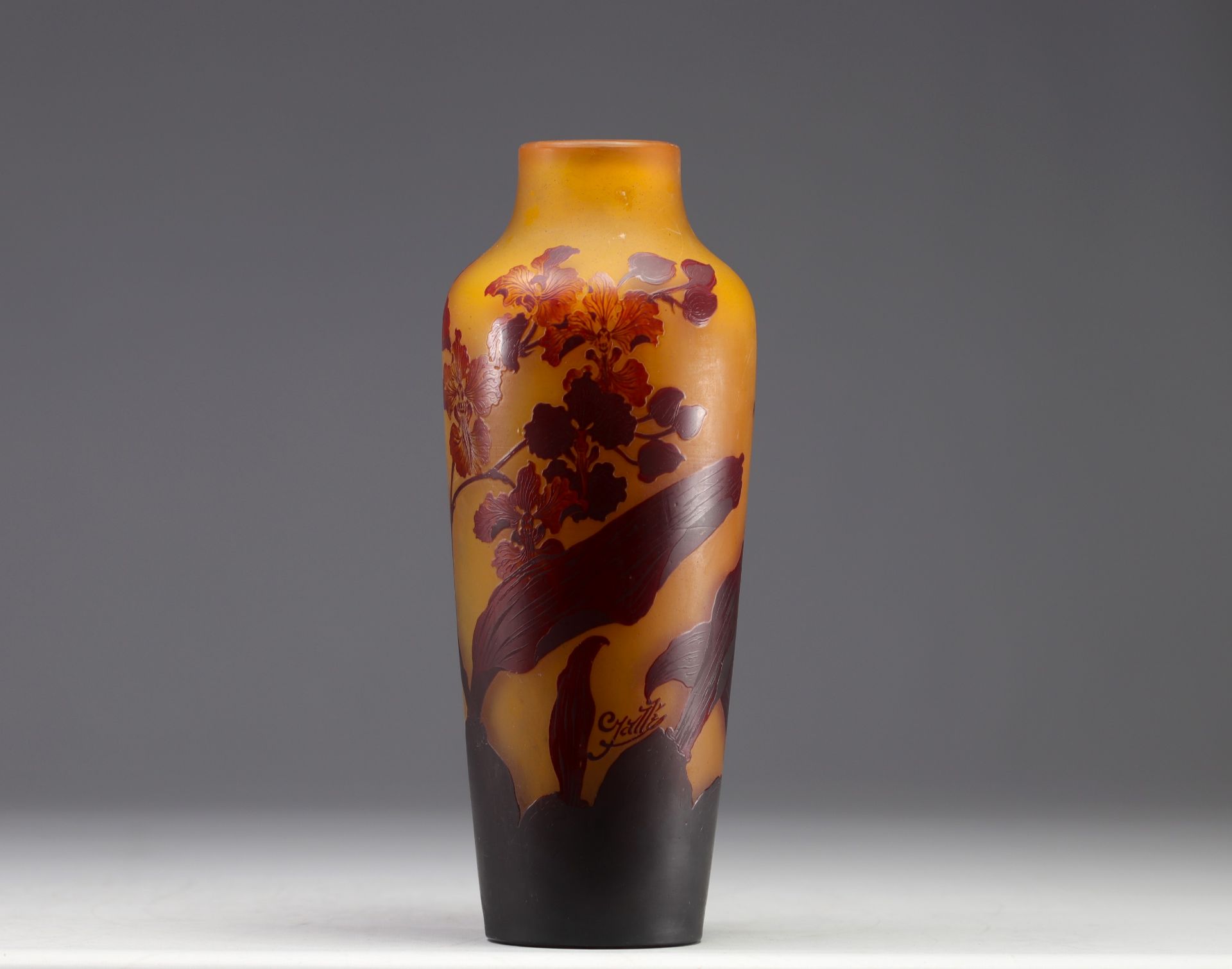Emile GALLE - Multi-layered glass vase with iris design, signed. - Image 4 of 5