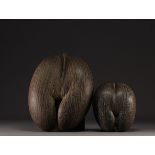 Pair of Coco Fesse