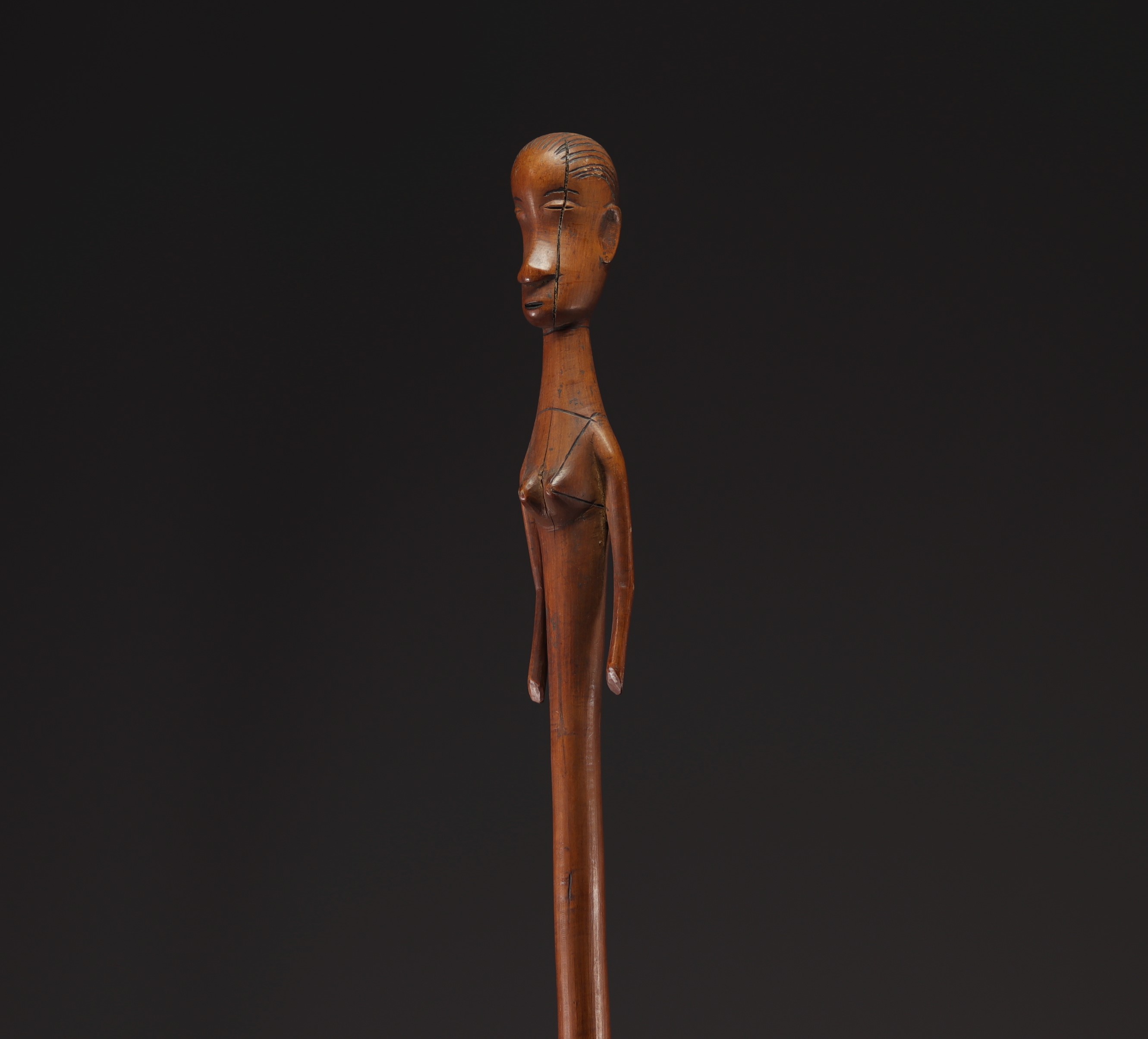 Nguni Staff / Sceptre - South Africa - Image 3 of 5