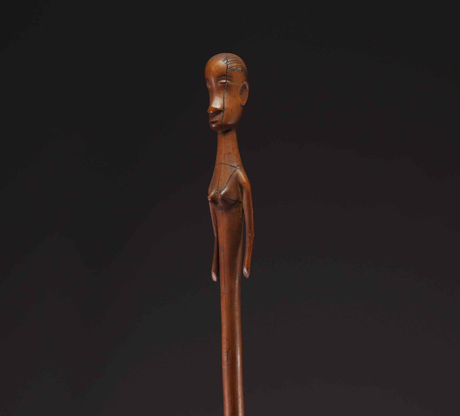 Nguni Staff / Sceptre - South Africa - Image 3 of 5