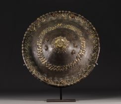 Superb Amharra shield, Ethiopia