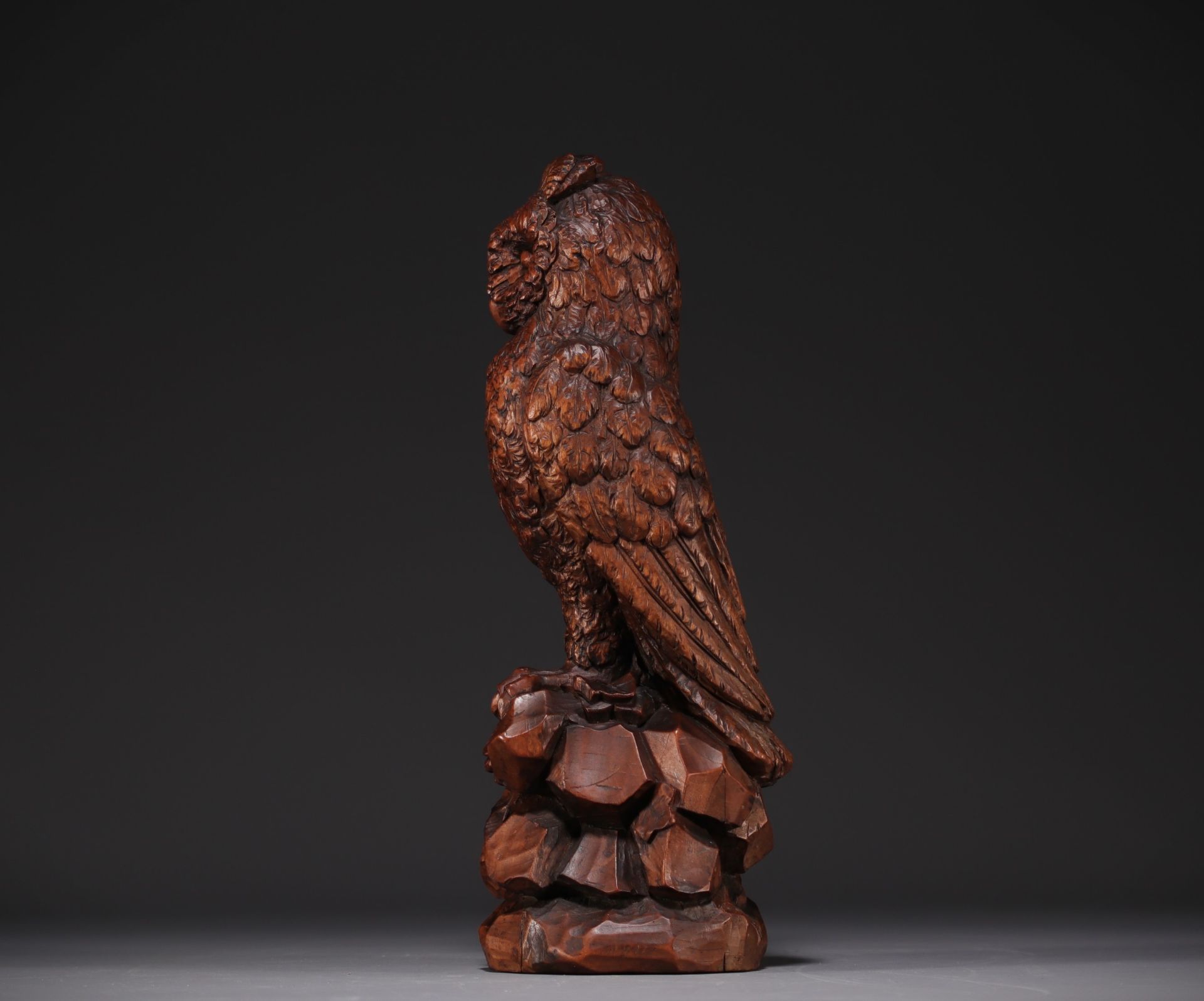 Black Forest carved walnut owl, 19th century. - Image 2 of 4