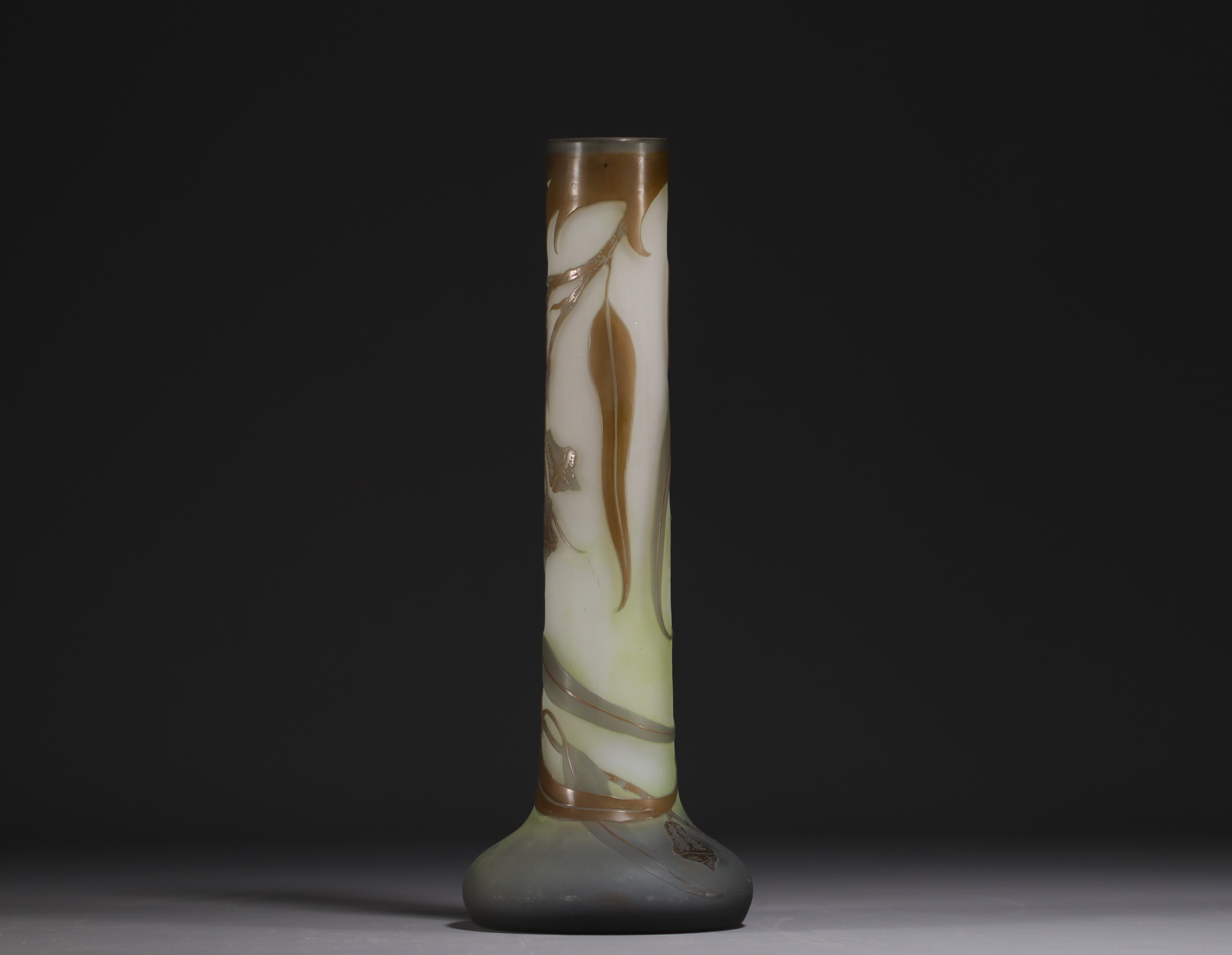 Etablissements Emile GALLE (1846-1904) Acid-etched multi-layered glass vase with eucalyptus decorati